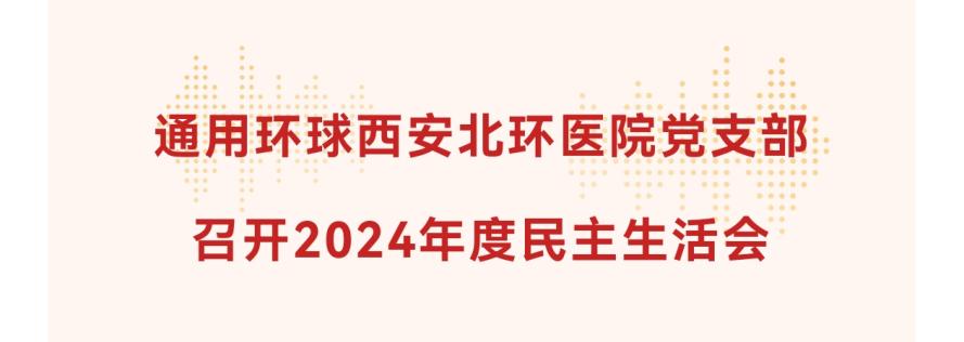 党建专栏丨通用环球西安北环医院党支部召开2024年度民主生活会